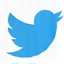 Icono de Twitter